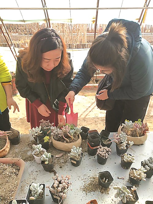 “巾帼心系企 建功新时代” 一一包头热力集团女工倡议书8.jpg