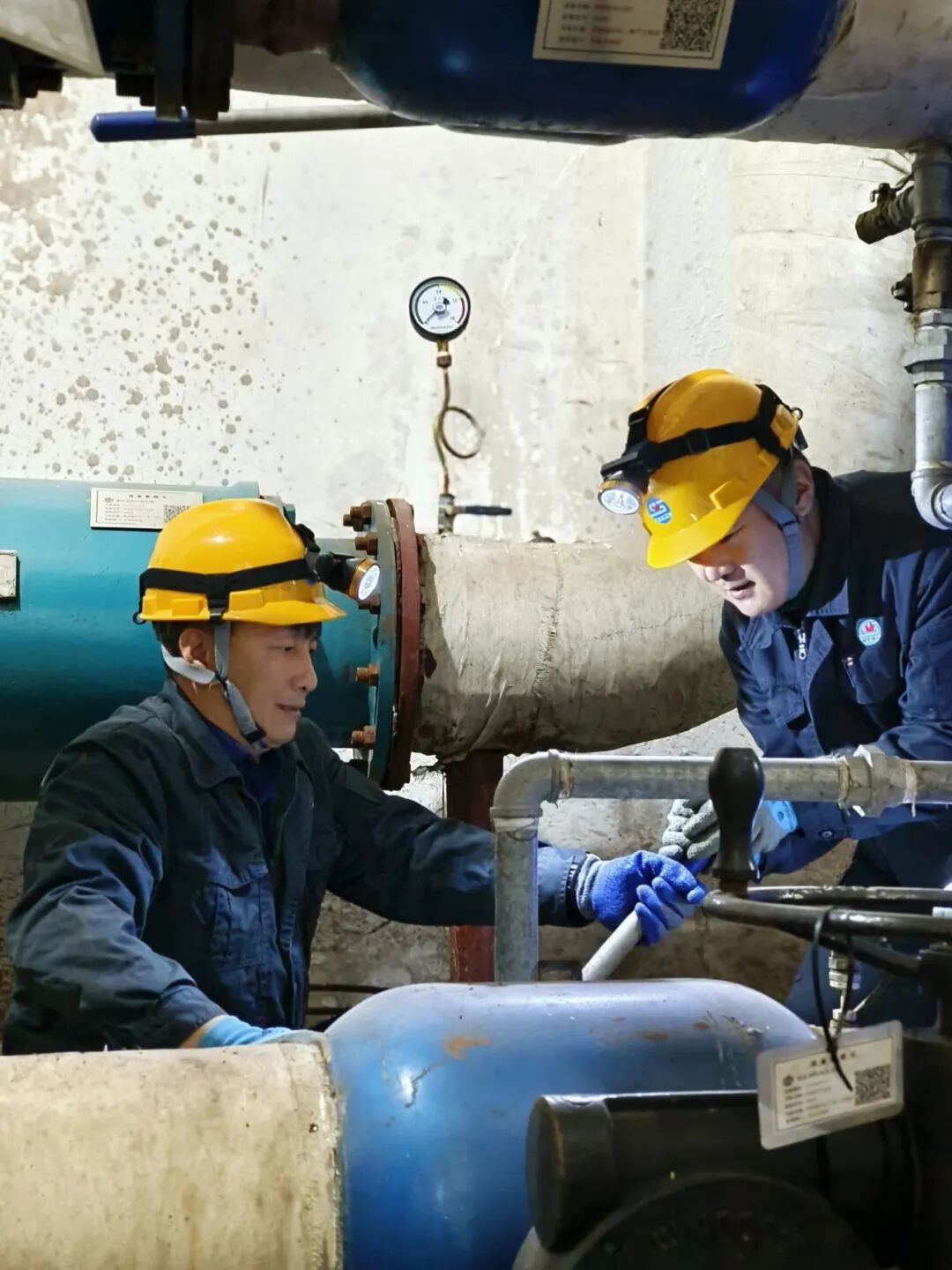 640 (5).jpg